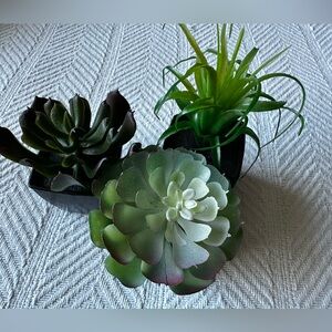 Small Faux Succulent Plants in Black Pots